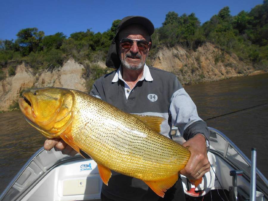 Pique del 13-11-2018