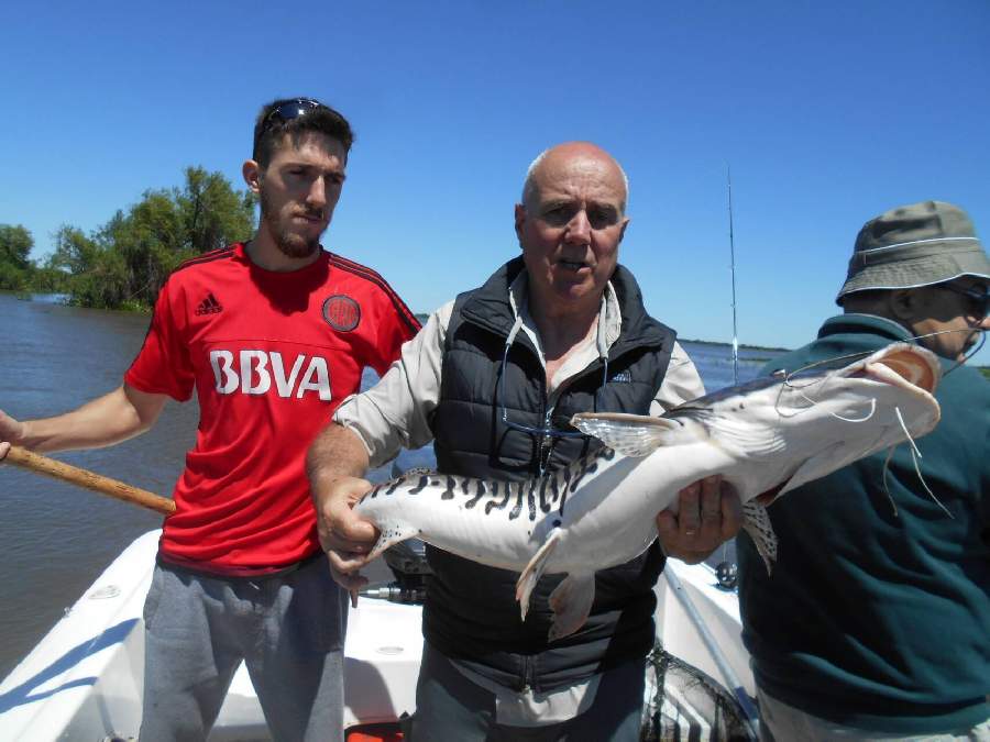 Pique del 20-11-2018