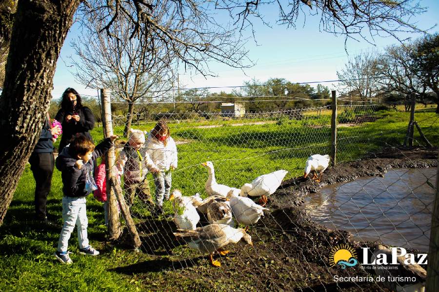 Granja Demostrativa Municipal