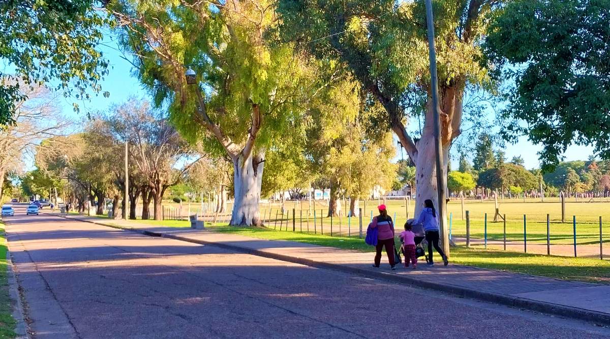Actividades para este fin de semana desde el 16 de Mayo