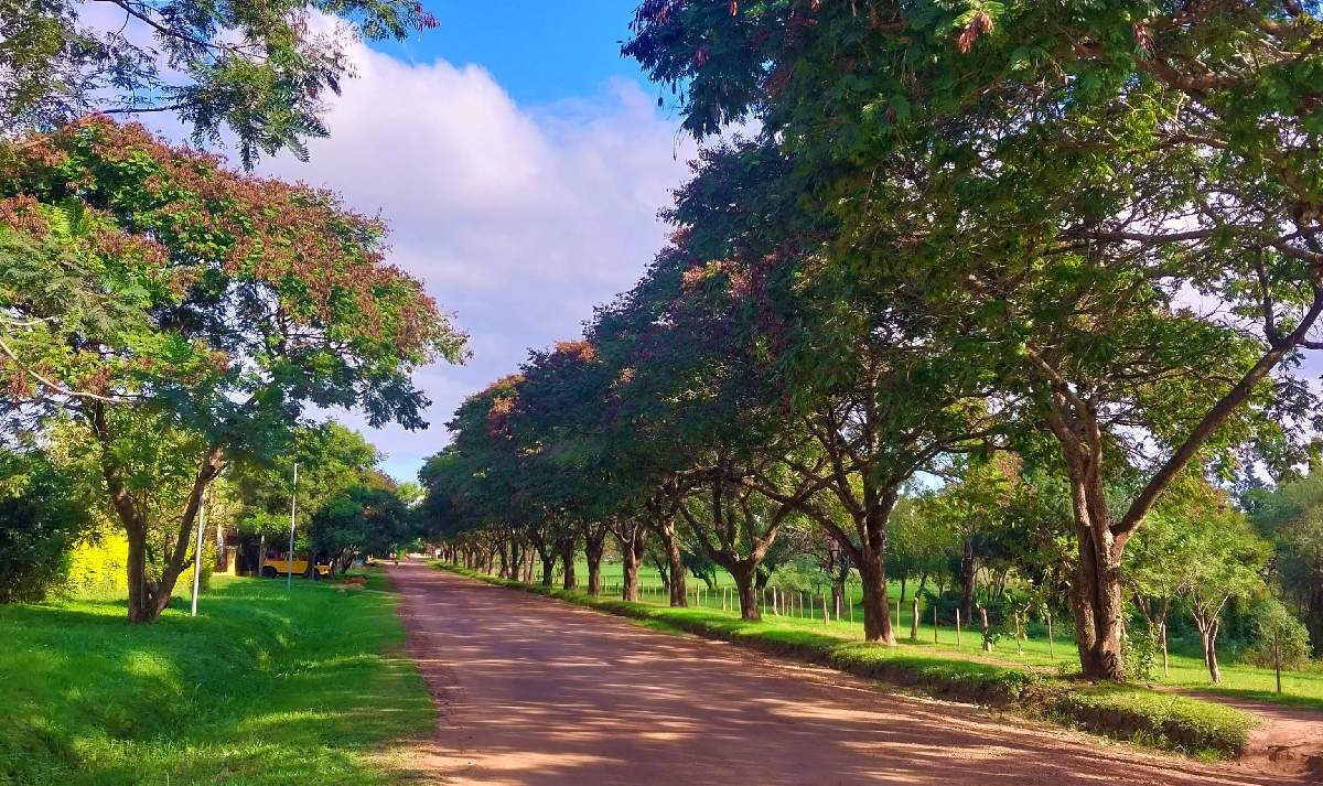 Actividades para este fin de semana desde el 7 de Junio
