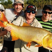 Amigos de pesca