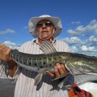pique del 19-03-2019