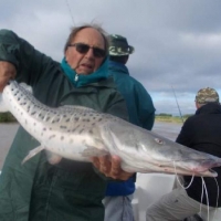 pique del 09-04-2019