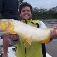 pique del 07-05-2019