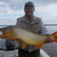 pique del 14-05-2019