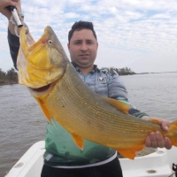 pique del 09-07-2019
