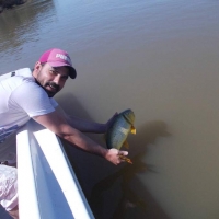 pique del 03-12-2019