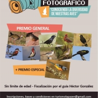 ‘’CONCURSO FOTOGRÁFICO- CONOCIENDO LA DIVERSIDAD DE NUESTRAS AVES’’