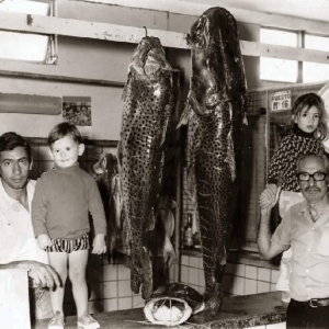 Antiguo puesto