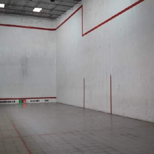 Única cancha de pelota paleta en la región - actualidad