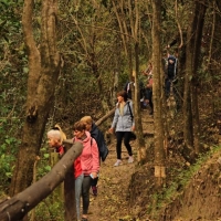 Senderismo en los bosques en galerias 