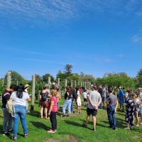 Una gran experiencia en Cabañas del Viñedo