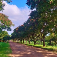 Actividades para este fin de semana desde el 7 de Junio