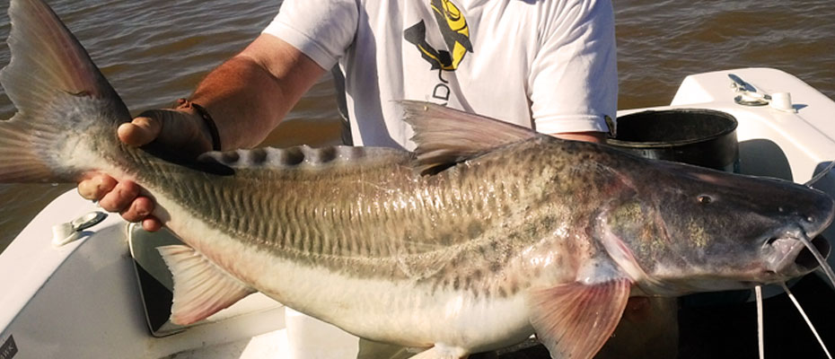 Fiesta Nacional de la Pesca Variada de Río